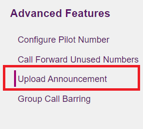 BizPhone - Advanced Features - Upload Announcement