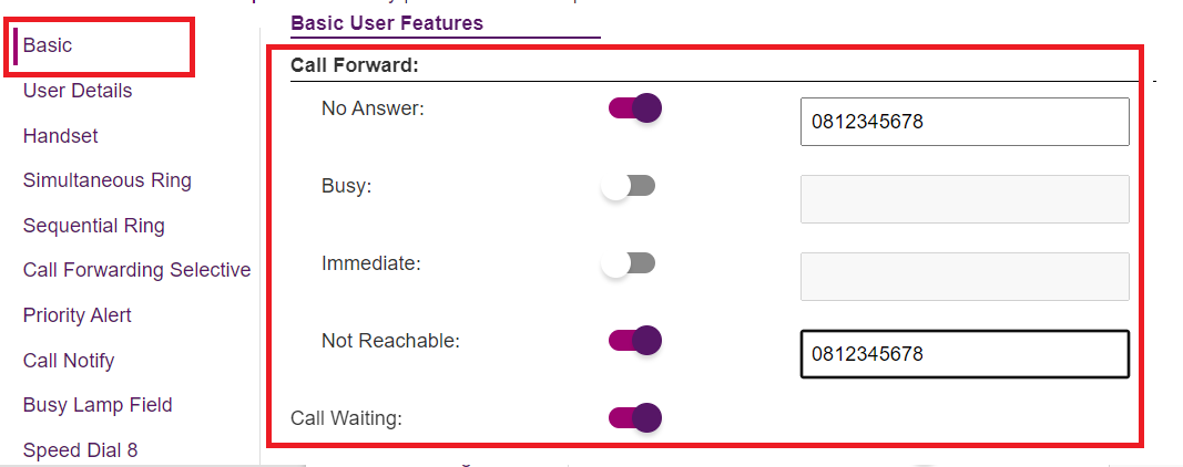 BizPhone - Call Forward Settings