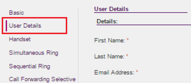 BizPhone - User details
