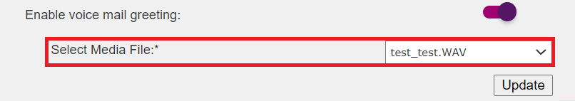 BizPhone - Hunt Group Voice Mail Greeting