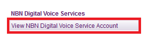 View NBN Digital Voice Service Account