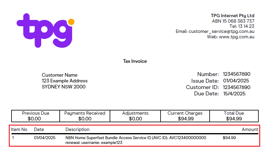 TPG invoice example charge shwoing Item Number, Date, Description and Amount.
