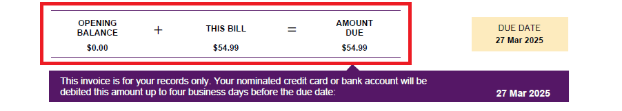 TPG invoice example showing section Opening Balance + This Bill Amount equals total Amount Due