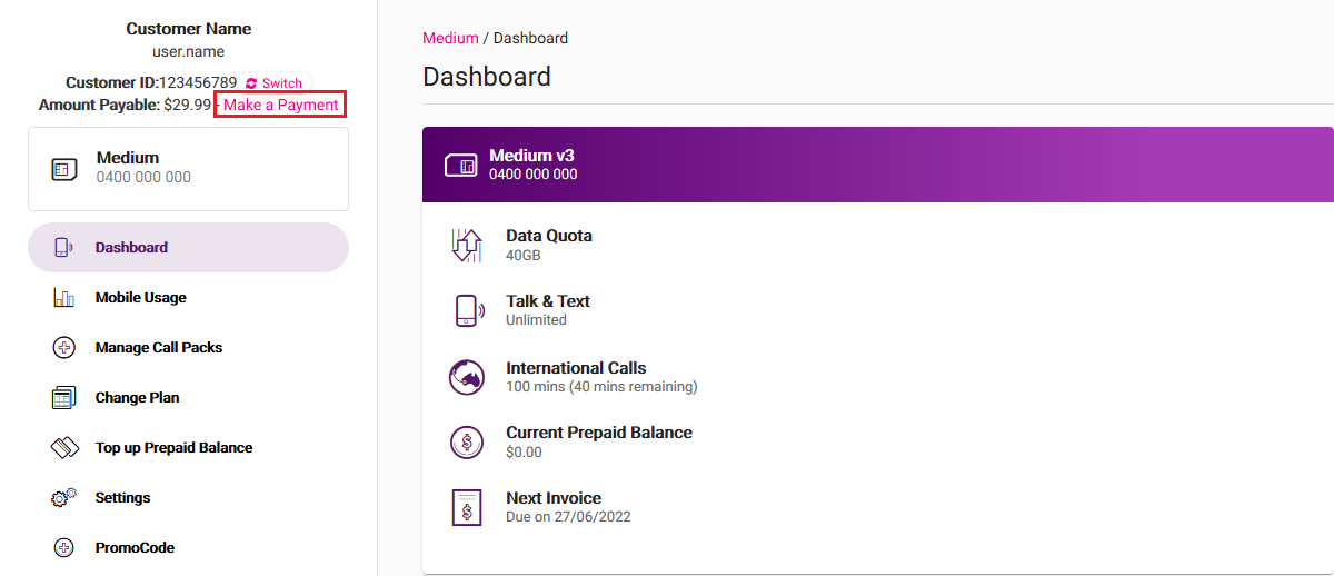 My Account - Make a Payment