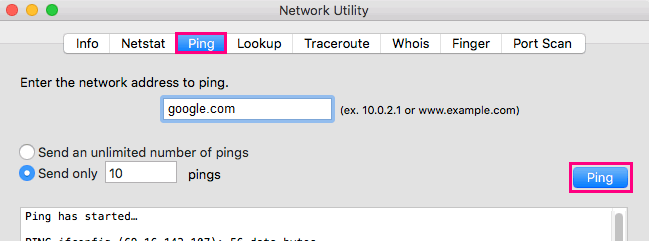 Network Utility ping